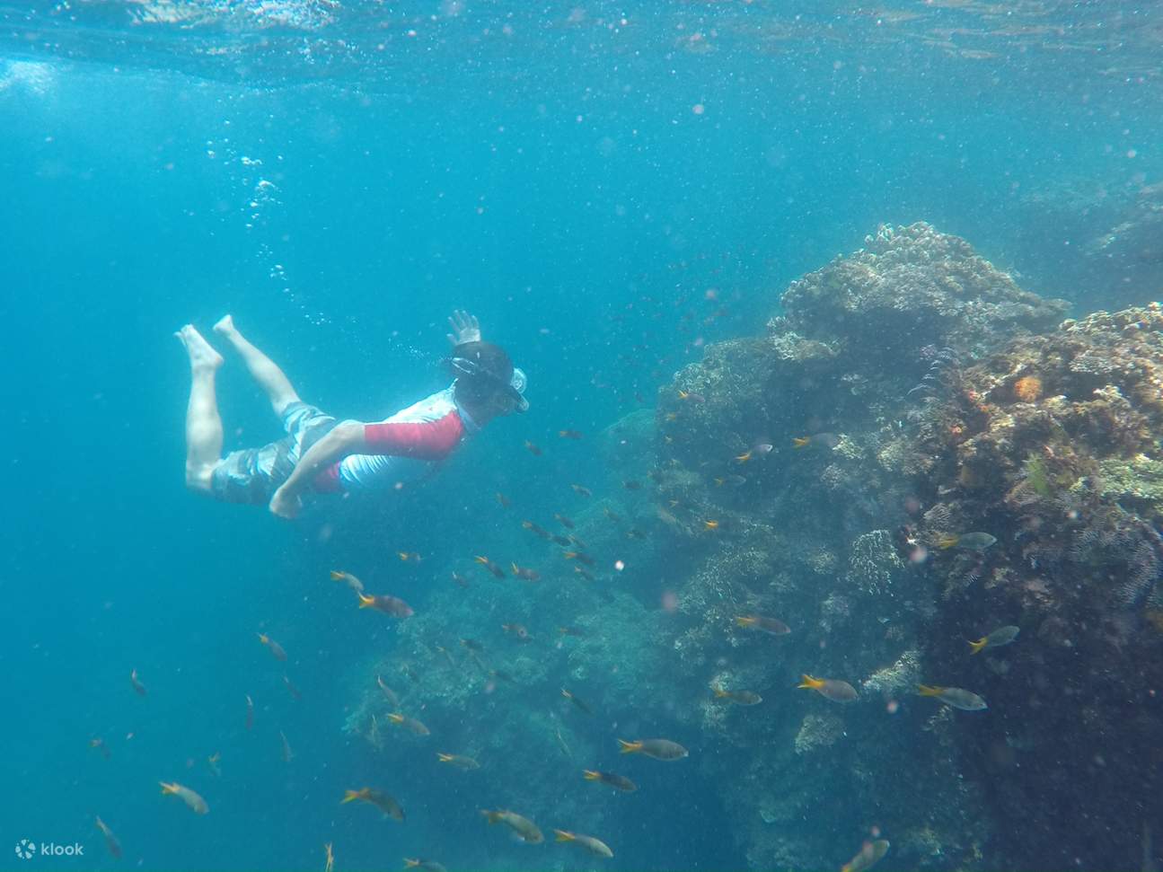 Jardin sous-marin de Toufu Cape